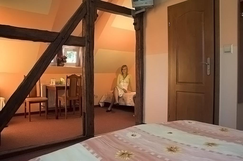 Villa Venus Kudowa-Zdroj Oda fotoğraf